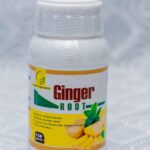 Ginger Root 150