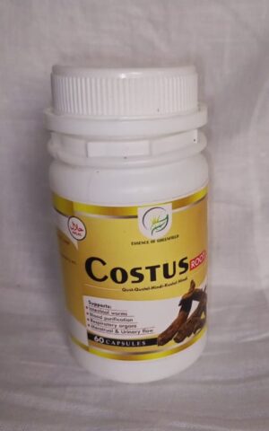 Costus Root 60caps